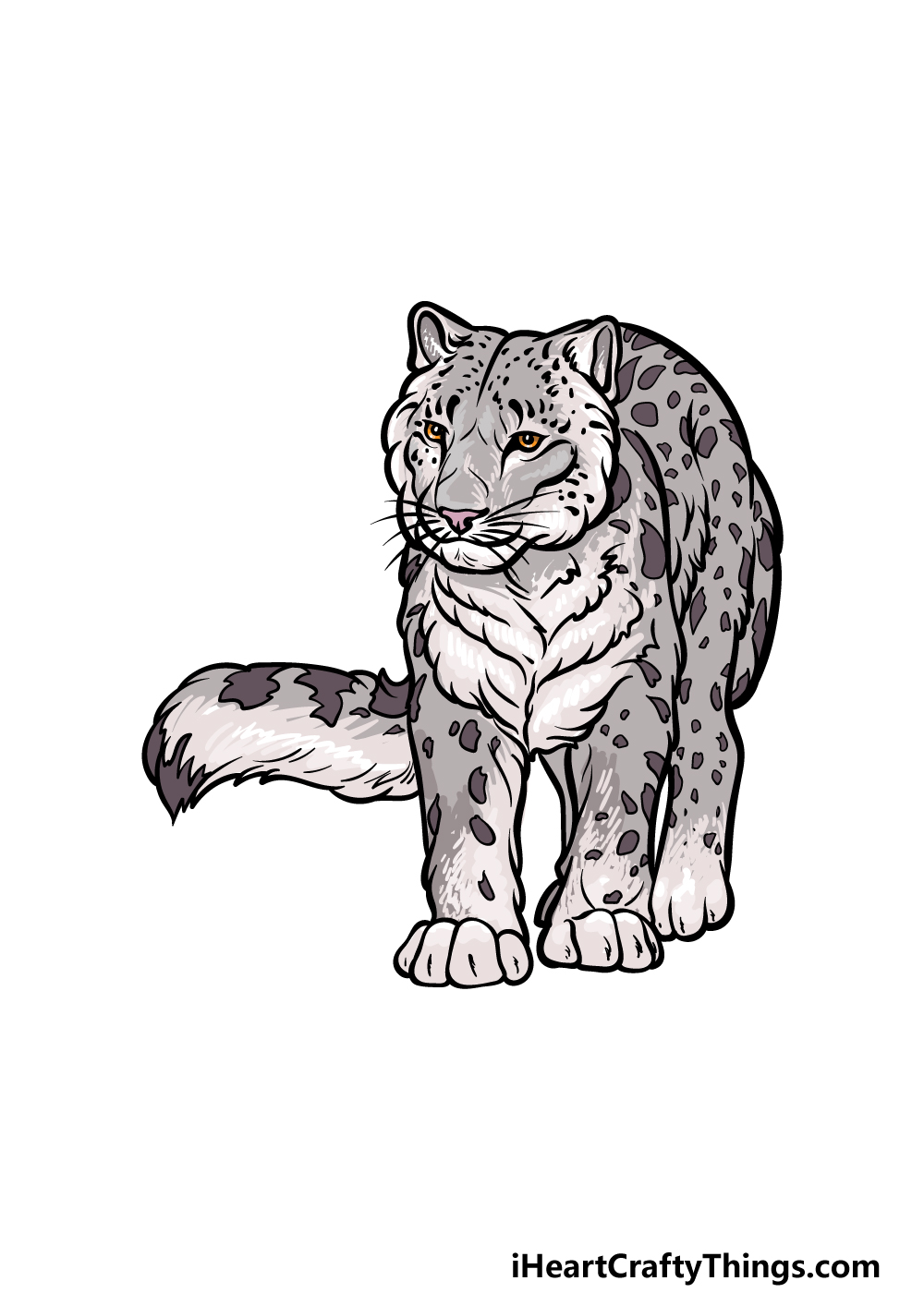 Snow leopard drawing