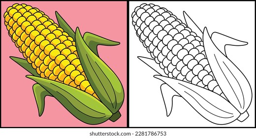 Corn fruit coloring page colored illustration stock vector royalty free