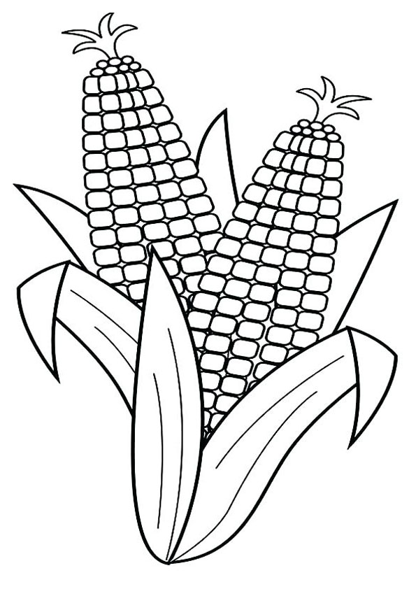 Coloring pages coloring pages of corn