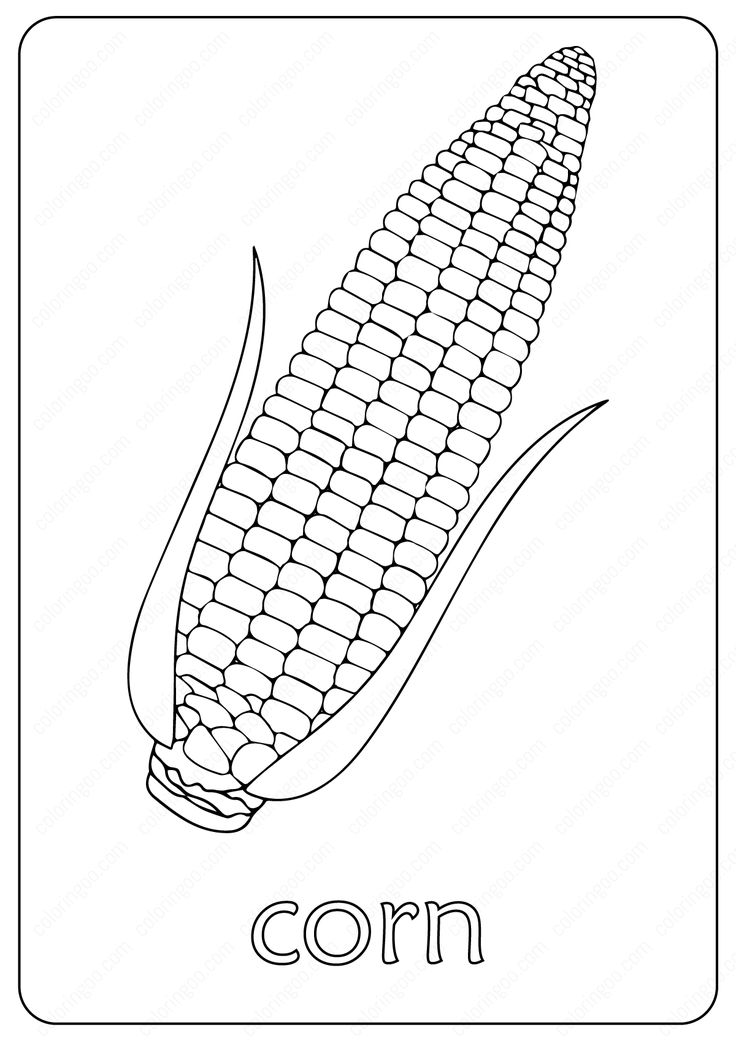 Free printable corn maize coloring pages coloring pages corn drawing corn