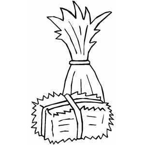 Cornstalk and hay coloring page