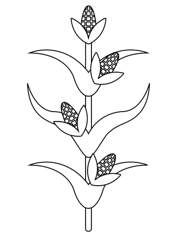 Corn stalk coloring page free printable coloring pages