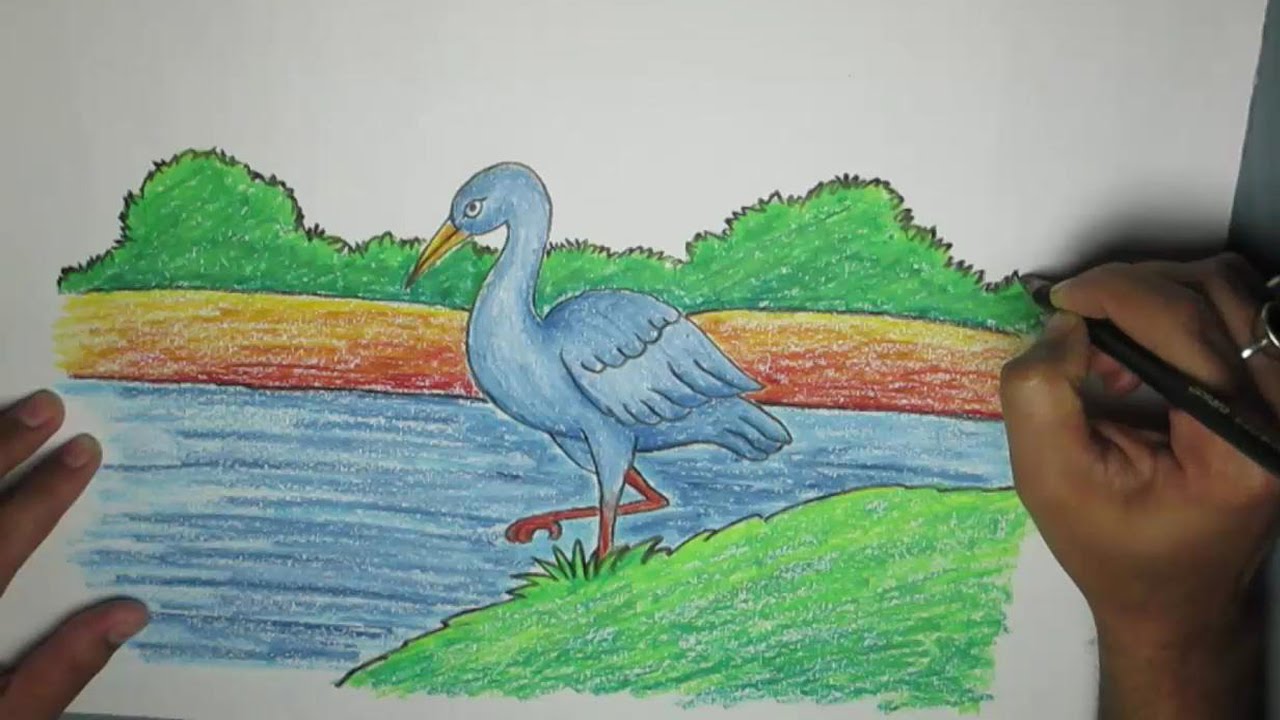 How to draw a crane bird with oil pastel