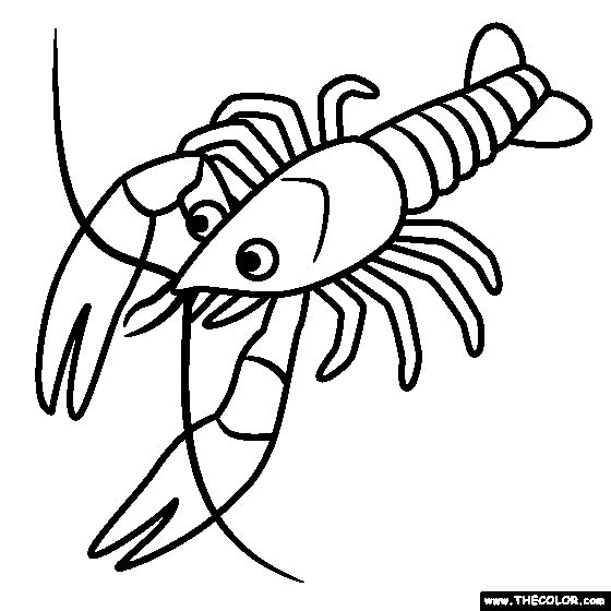 Crawfish coloring page animal coloring pages online coloring pages coloring pages