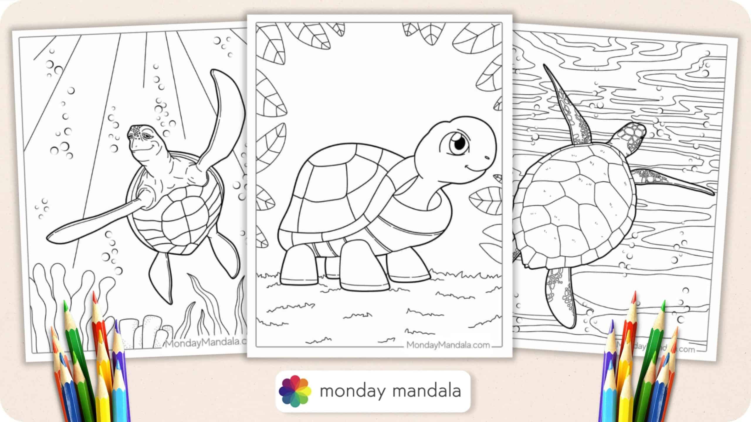 Turtle coloring pages free pdf printables