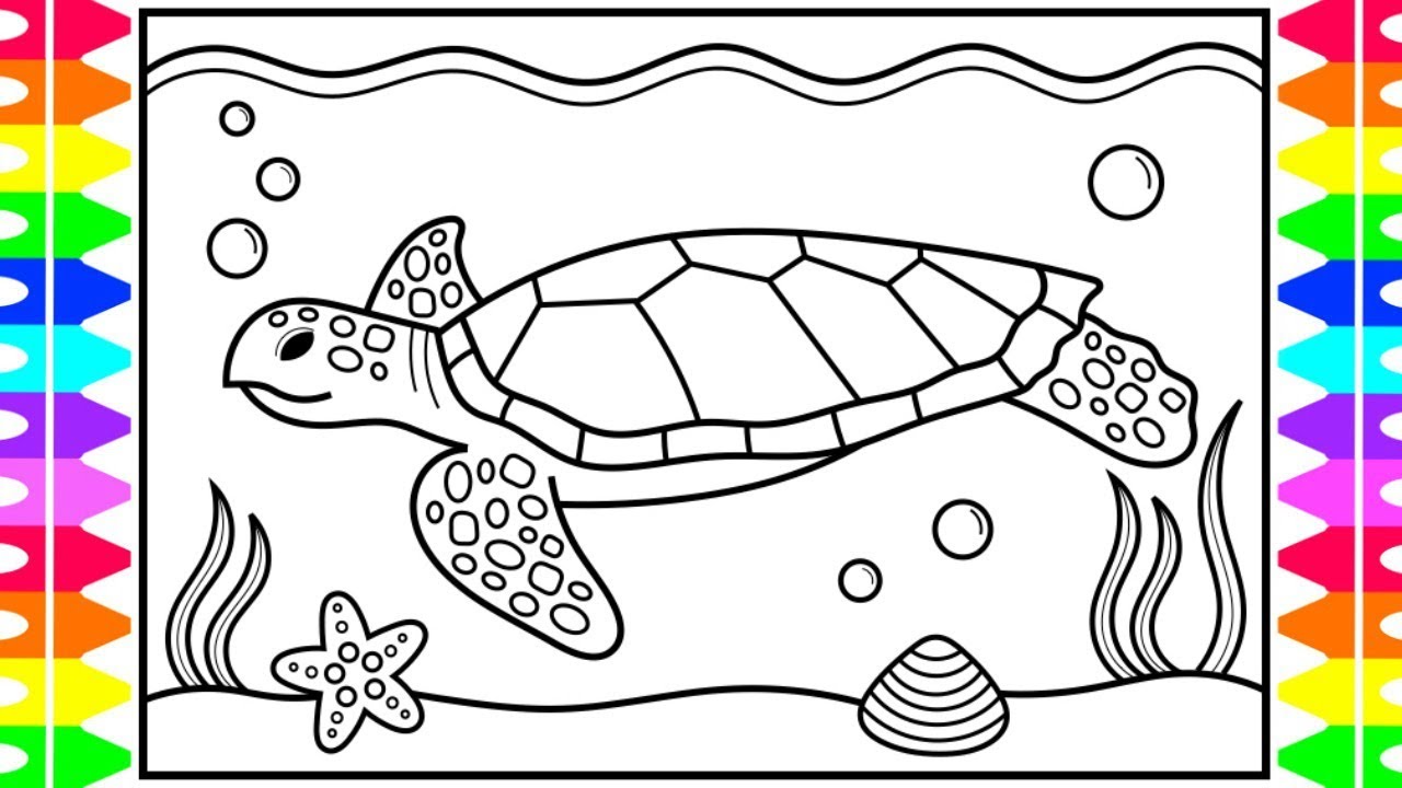 How to draw a sea turtle for kids ðððsea turtle drawing for kids sea turtle coloring pages