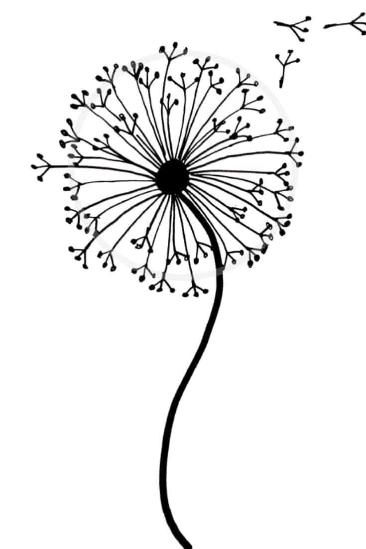 How to draw a dandelion easy dandelion drawing step by step tutorial