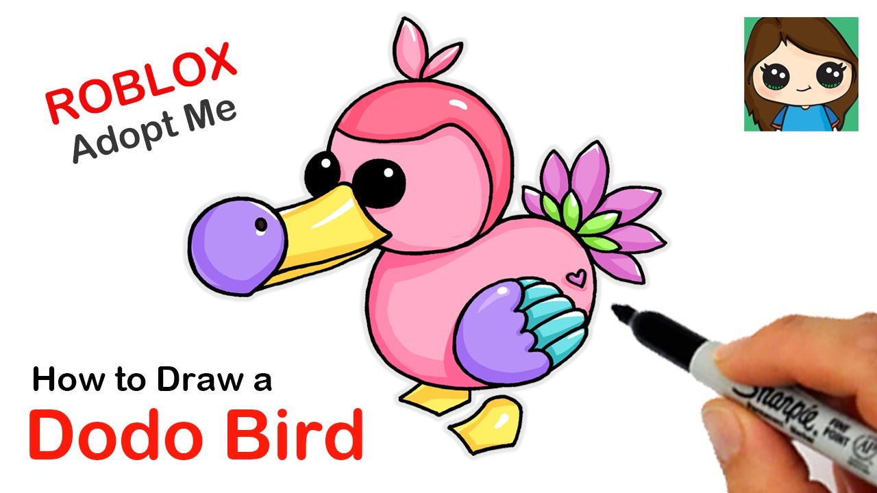 How to draw a dodo bird roblox adopt e pet