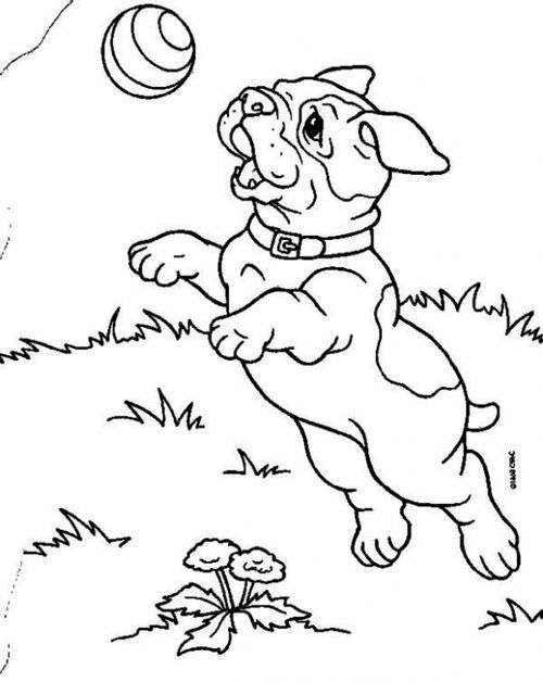 A bulldog puppy catching a ball coloring page