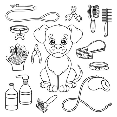 Set of outline dog goods for pet shop accessories for grooming and dog walking collars leashes and other supplies for puppy coloring page for kids vector isolated illustrations in cartoon style