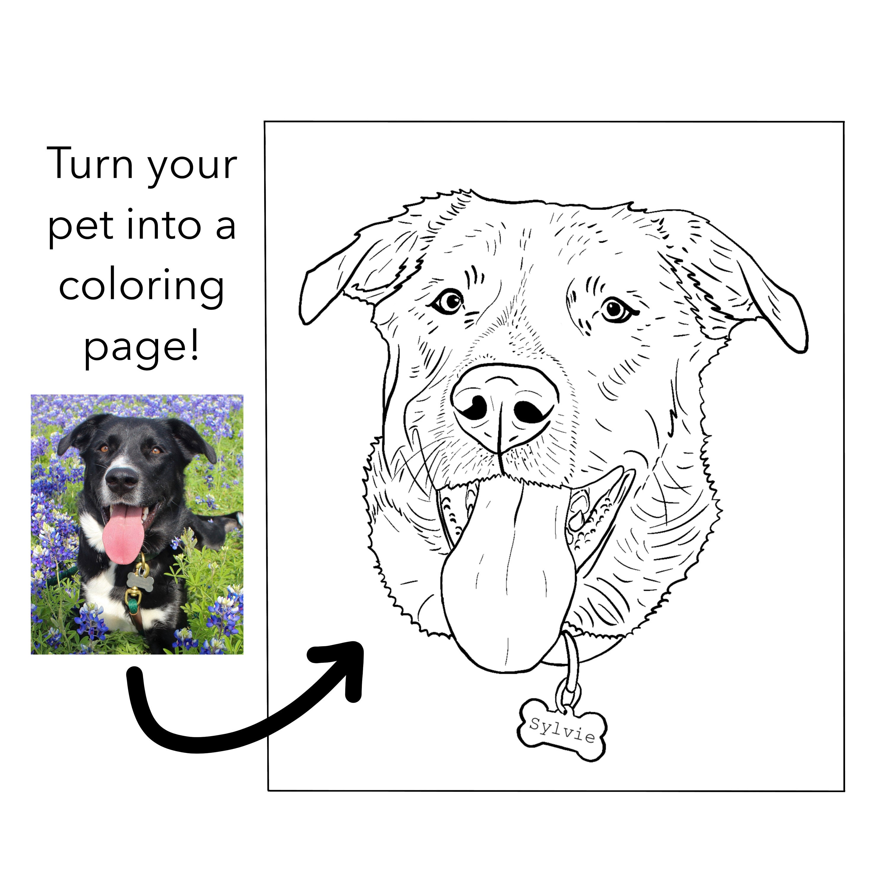 Custom pet coloring page