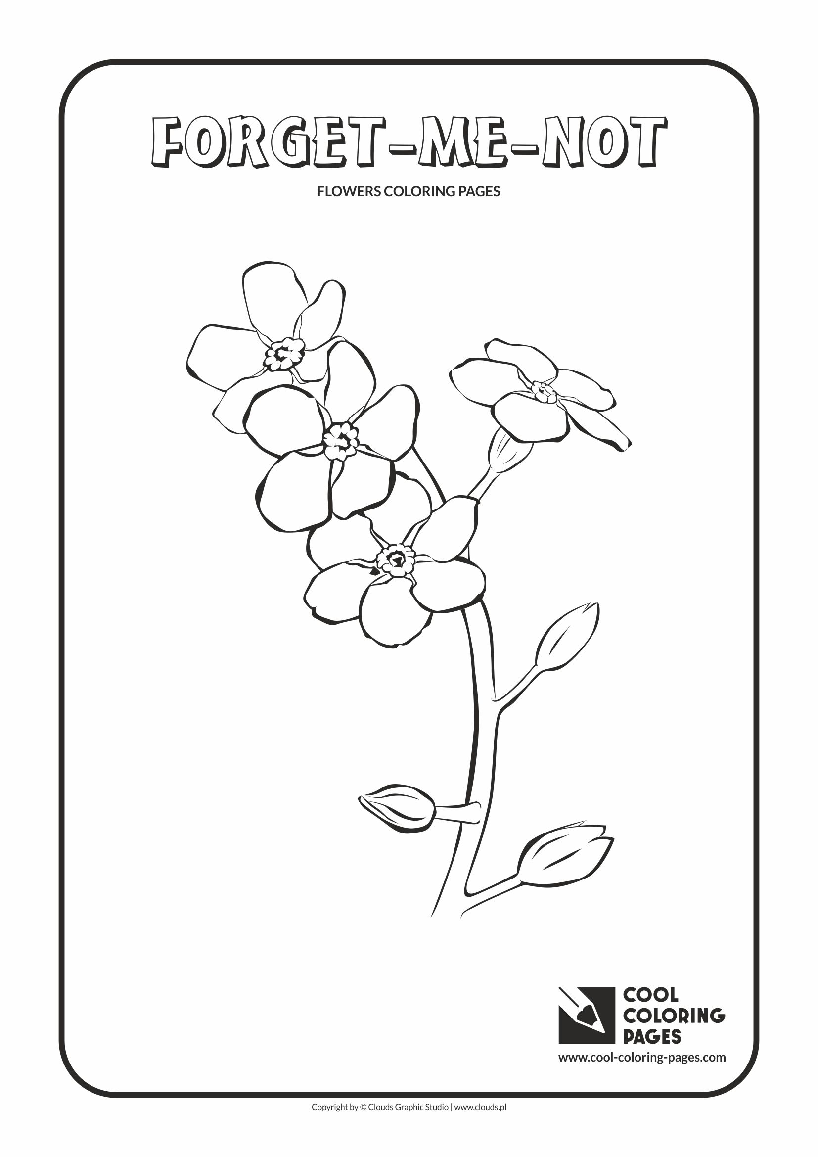 Forget me not printable template