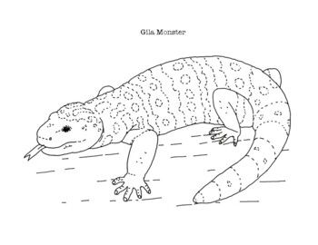 Gila monster coloring page monster coloring pages coloring pages gila monster