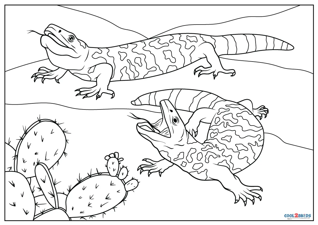 Free printable gila monster coloring pages for kids