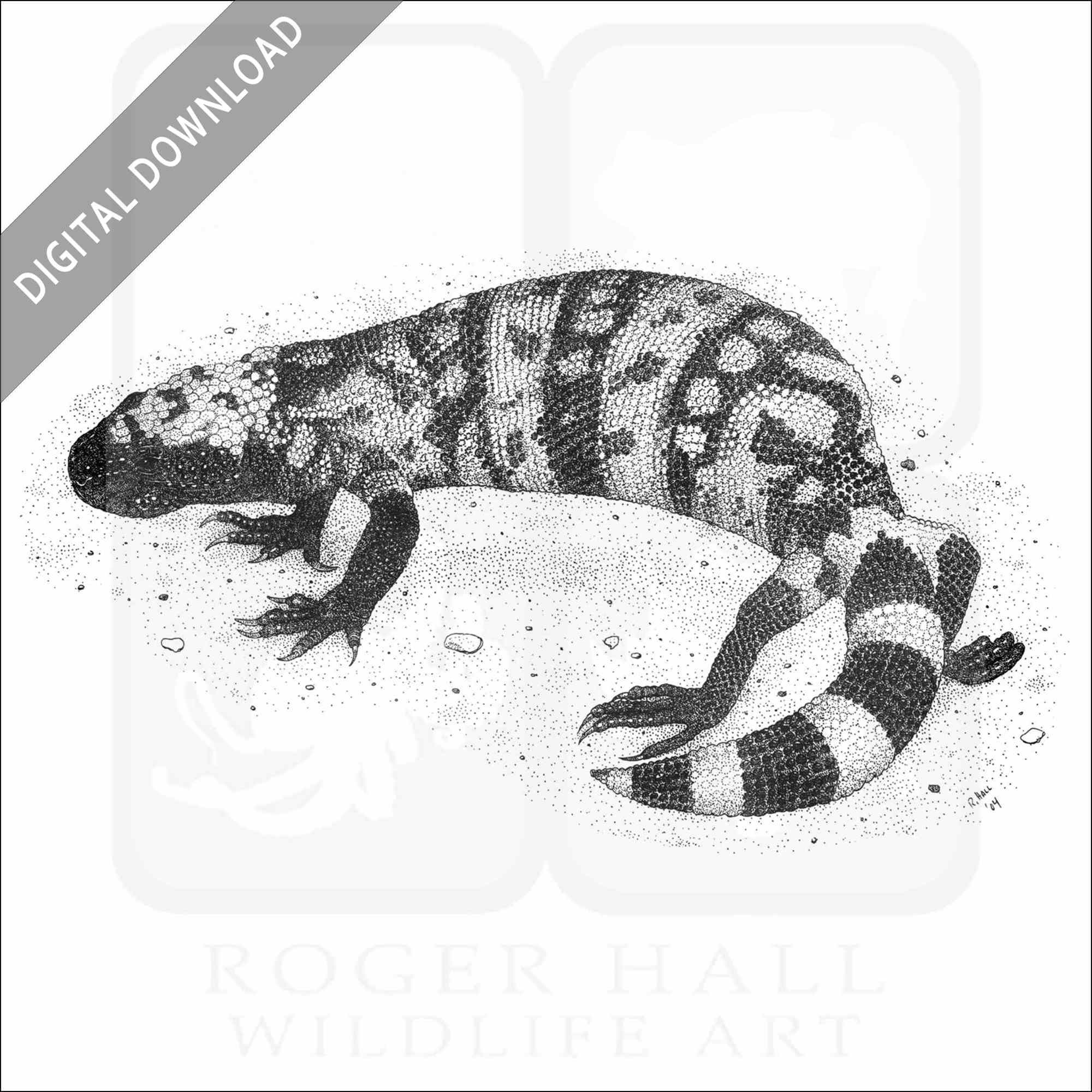 Stock art drawing of a gila monster