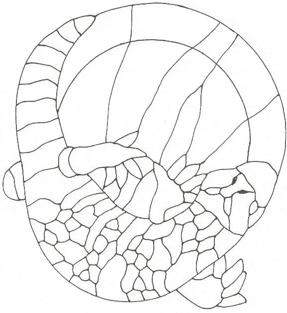 Gila monster coloring page