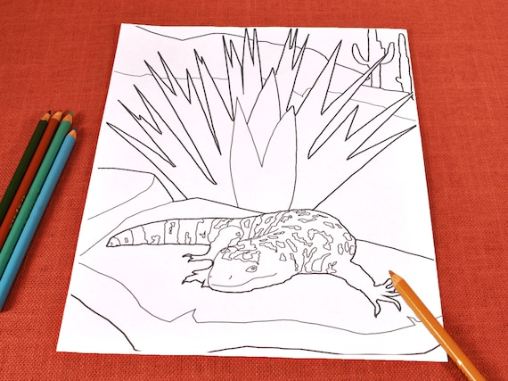 Printable coloring page of our original design of the desert gila monster