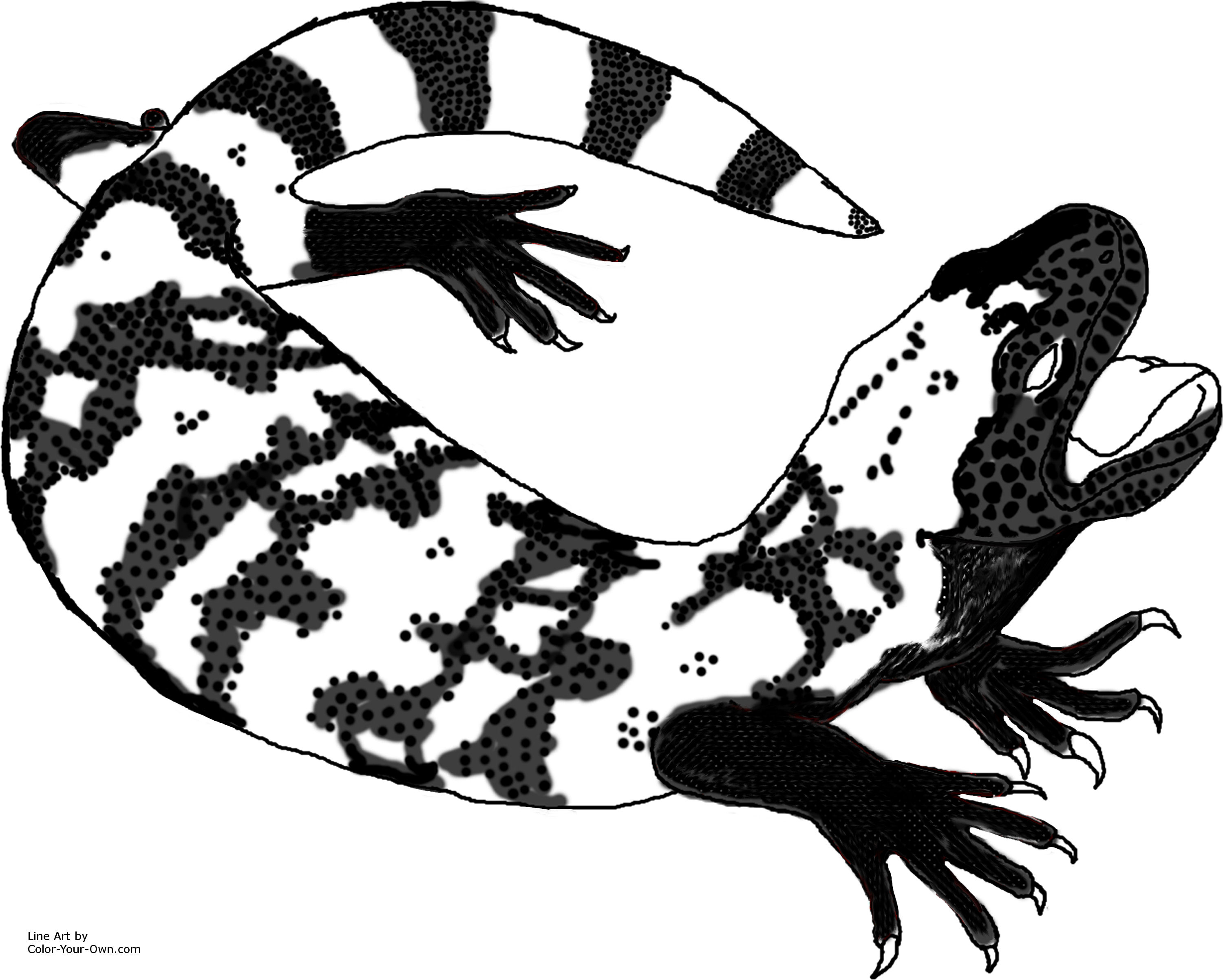 Gila monster coloring page