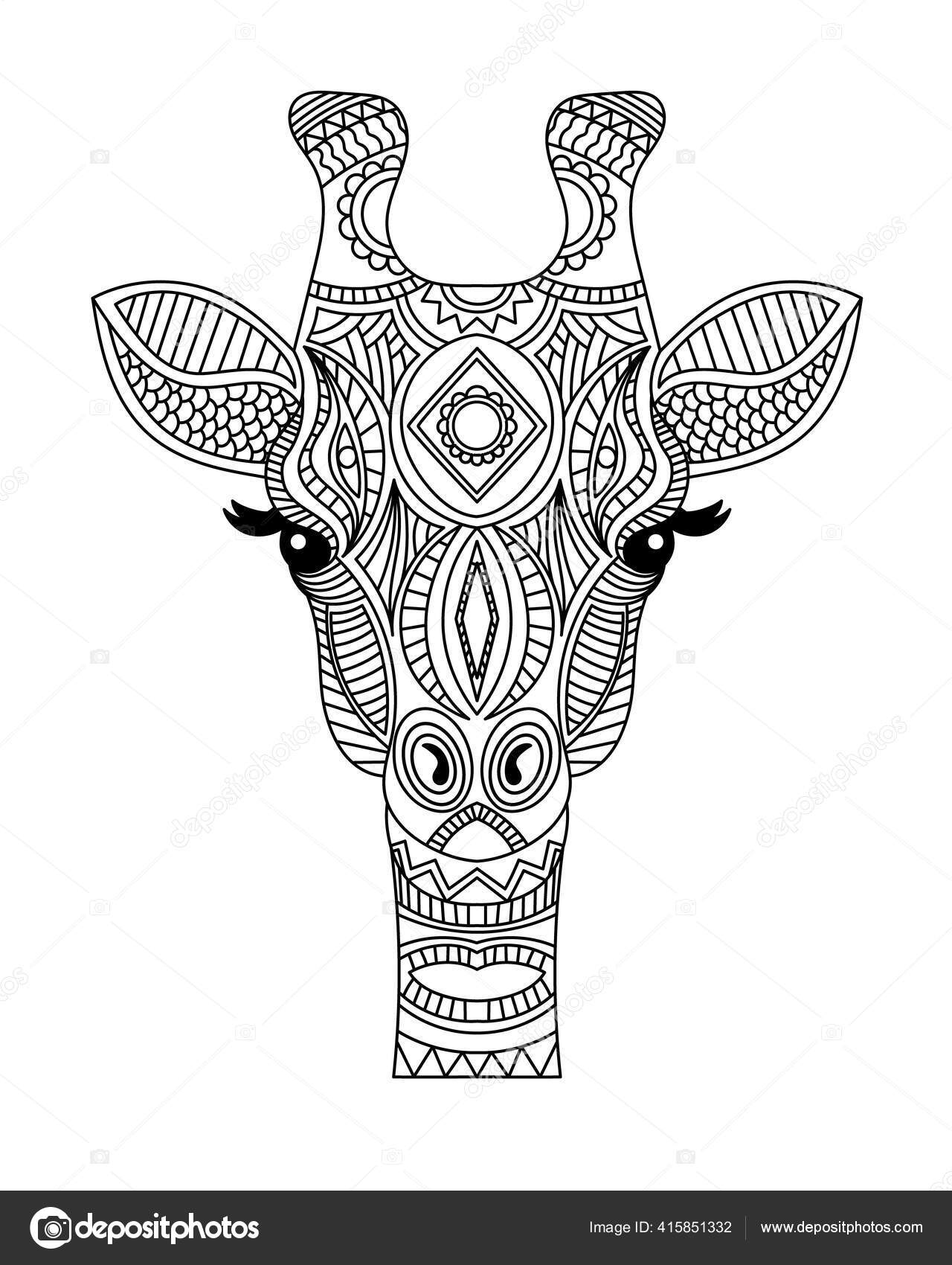 Giraffe head coloring book illustration antistress coloring adults black white stock vector by sbego