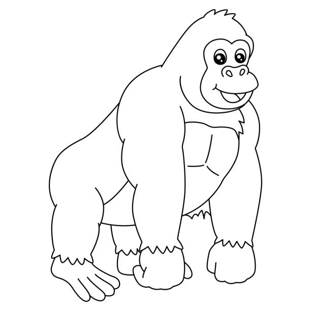 Gorilla draw stock illustrations royalty