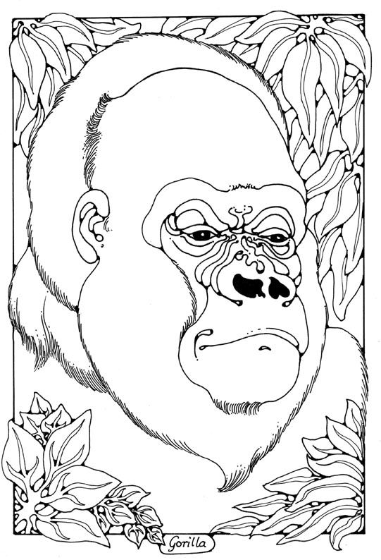 Gorilla colouring page by dandi palmer zoo coloring pages animal coloring pages dolphin coloring pages