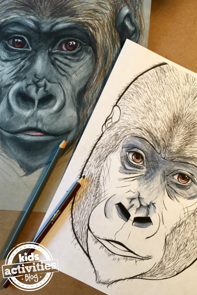 Awesome gorilla coloring pages