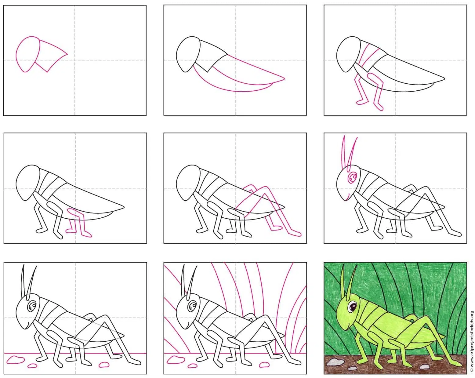 Easy how to draw a grasshopper tutorial coloring page