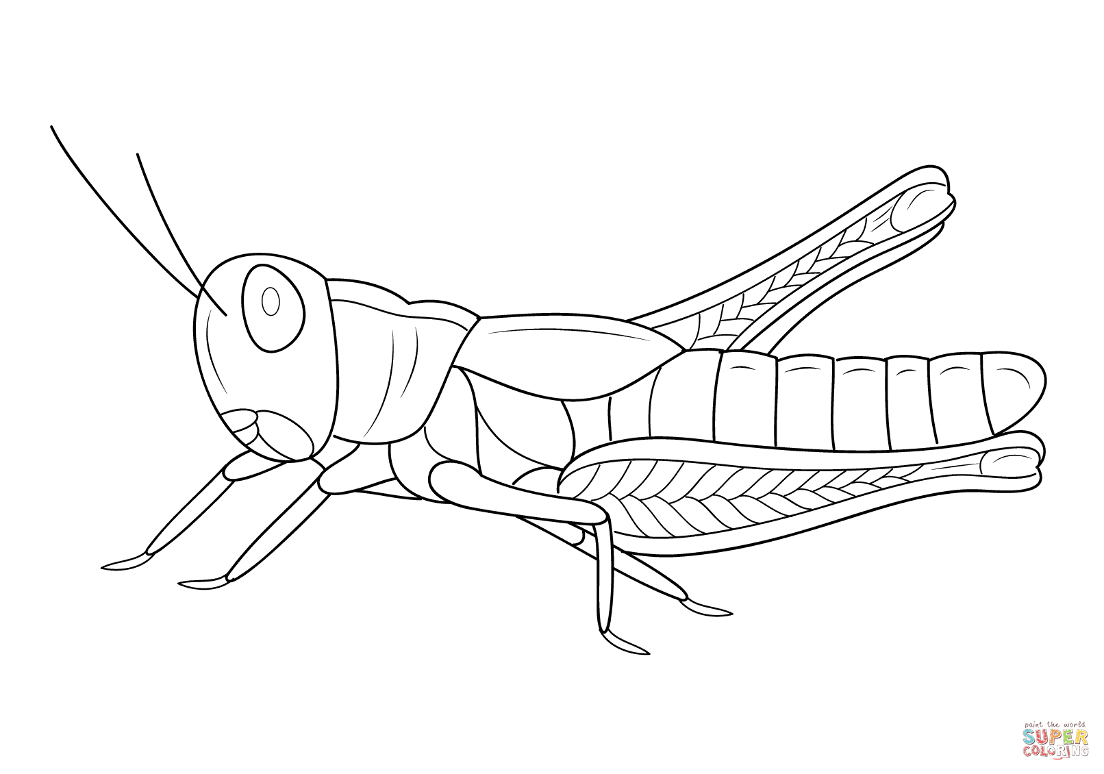 Grasshopper coloring page free printable coloring pages