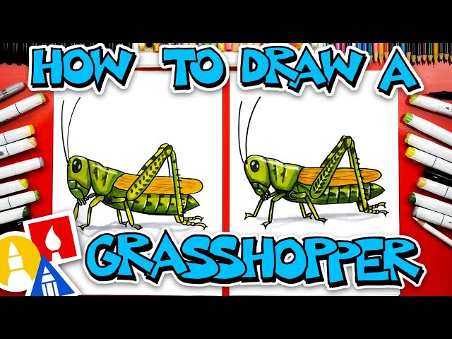 How to draw a grasshopper