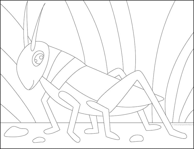 Easy how to draw a grasshopper tutorial and grasshopper coloring page â