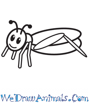 How to draw a simple grasshopper for kids