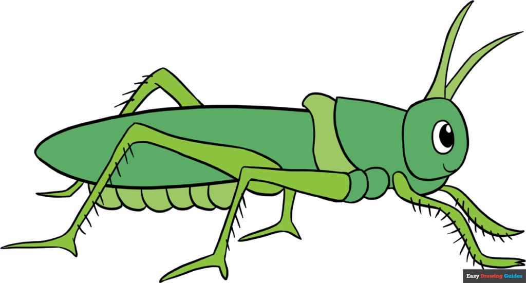 How to draw a grasshopper