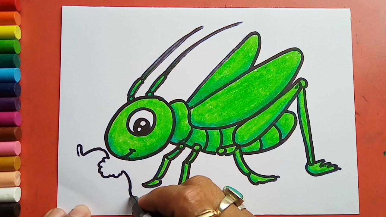 Easy and siple grasshopper drawing