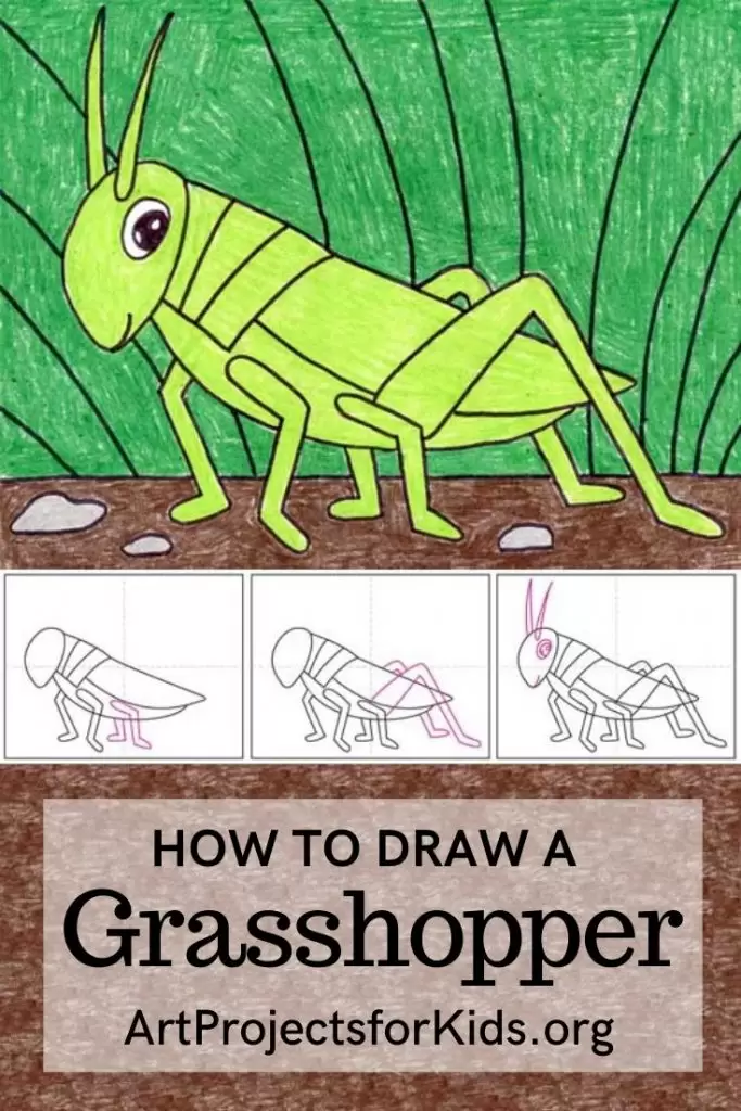 Easy how to draw a grasshopper tutorial coloring page