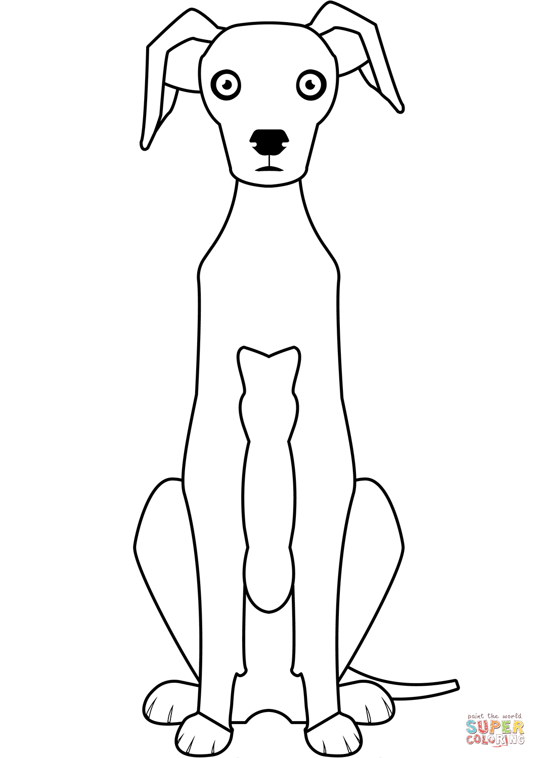 Greyhound coloring page free printable coloring pages