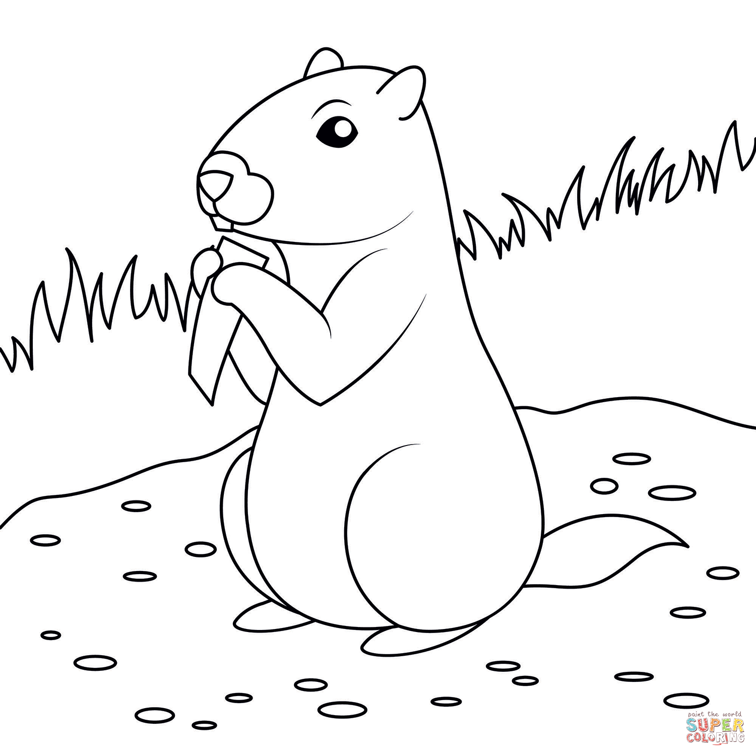Groundhog coloring page free printable coloring pages