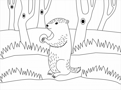 Groundhog coloring page free printable coloring pages