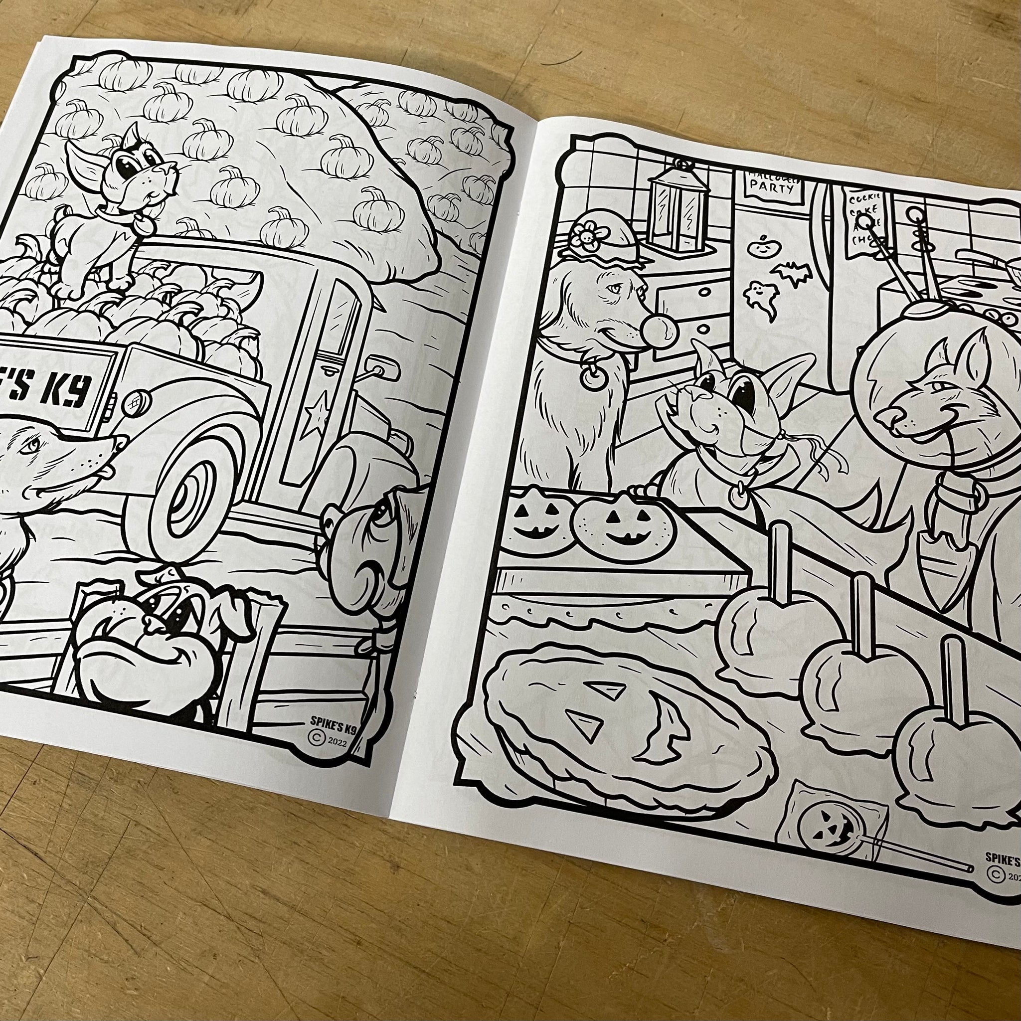 Dewey the puppy coloring book