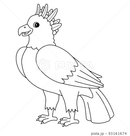 Harpy eagle animal isolated coloring page for kids