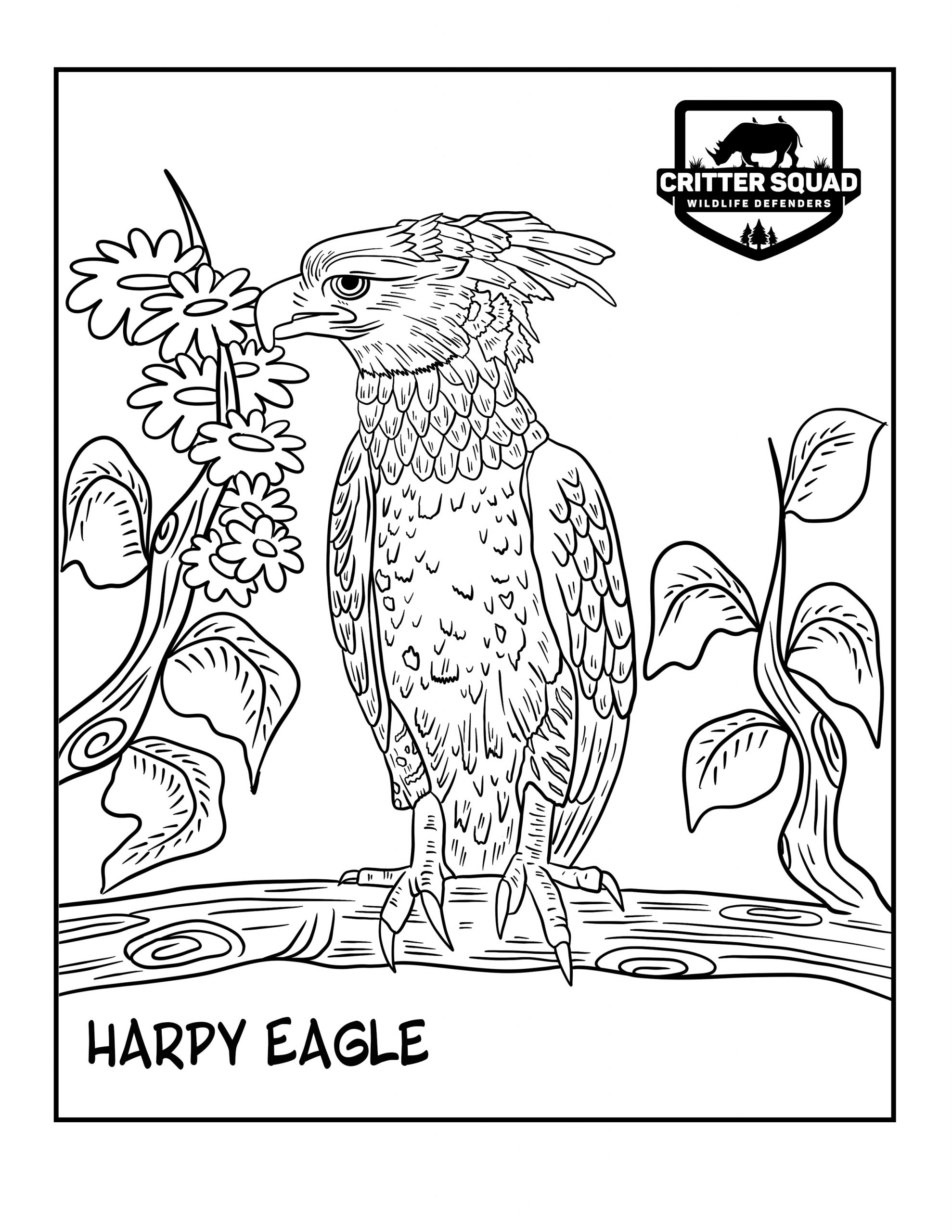 Harpy eagle coloring page