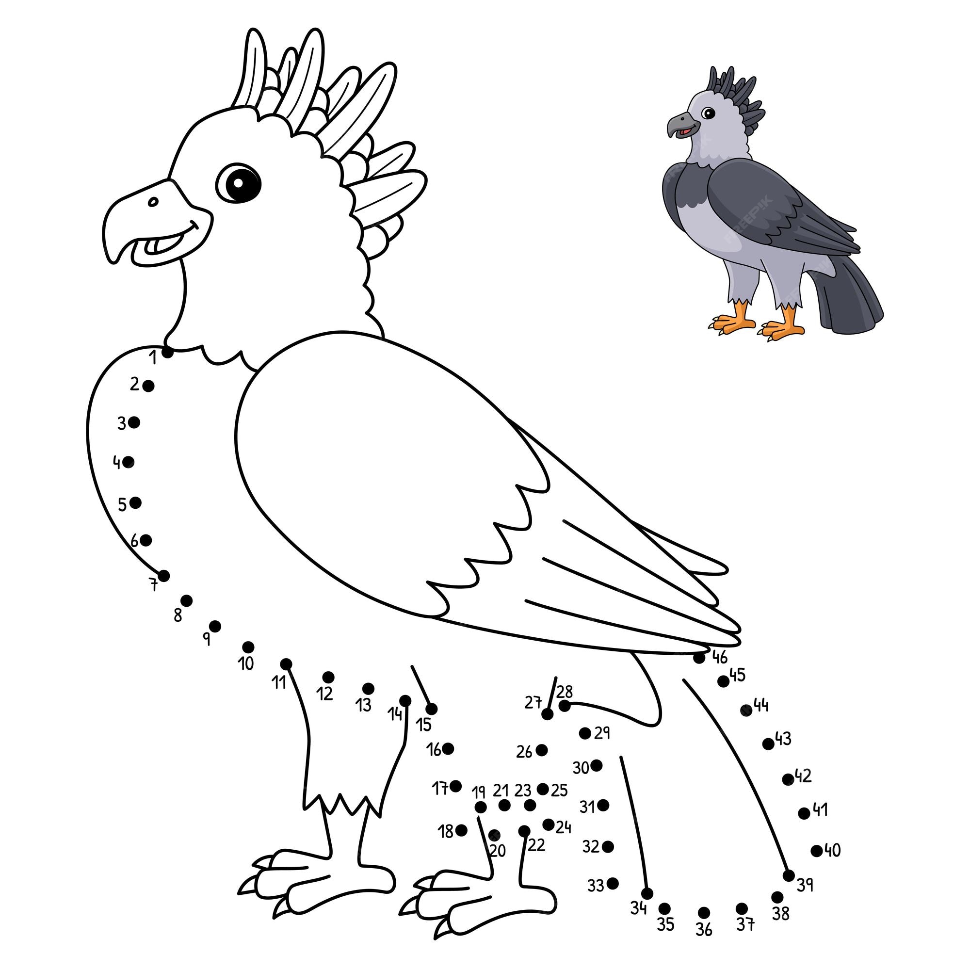 Premium vector dot to dot harpy eagle isolated coloring page