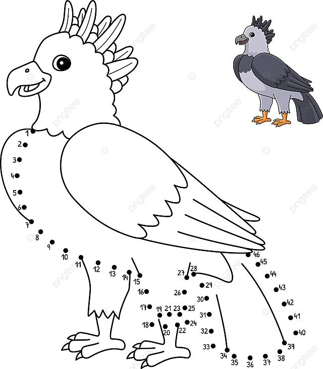 Harpy eagle dottodot coloring page with isolated background vector colour hand drawn coloring page png and vector with transparent background for free download