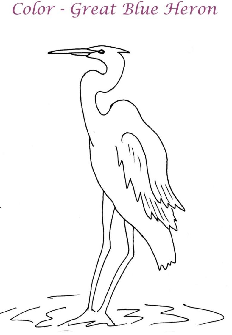 Great blue heron coloring page for kids