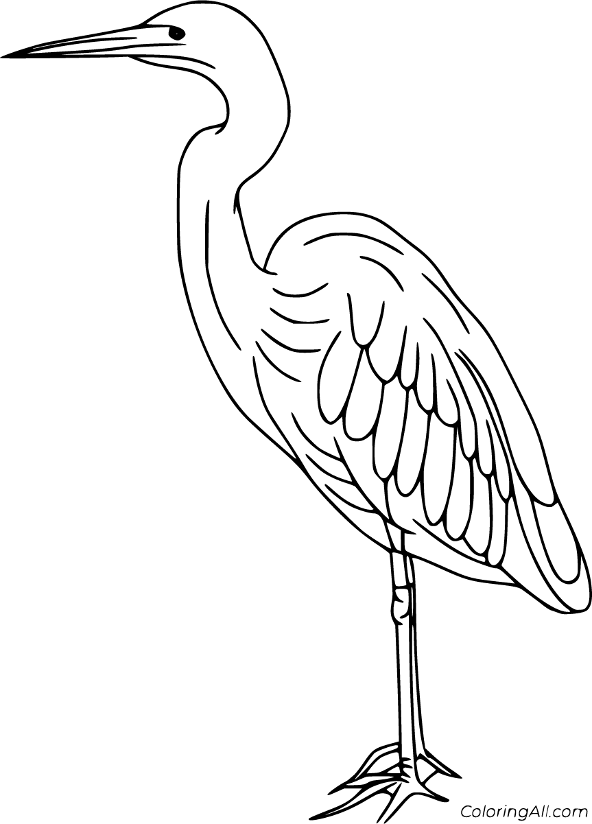 Free printable heron coloring pages in vector format easy to print from any device and automatically fit any paperâ bird coloring pages coloring pages heron