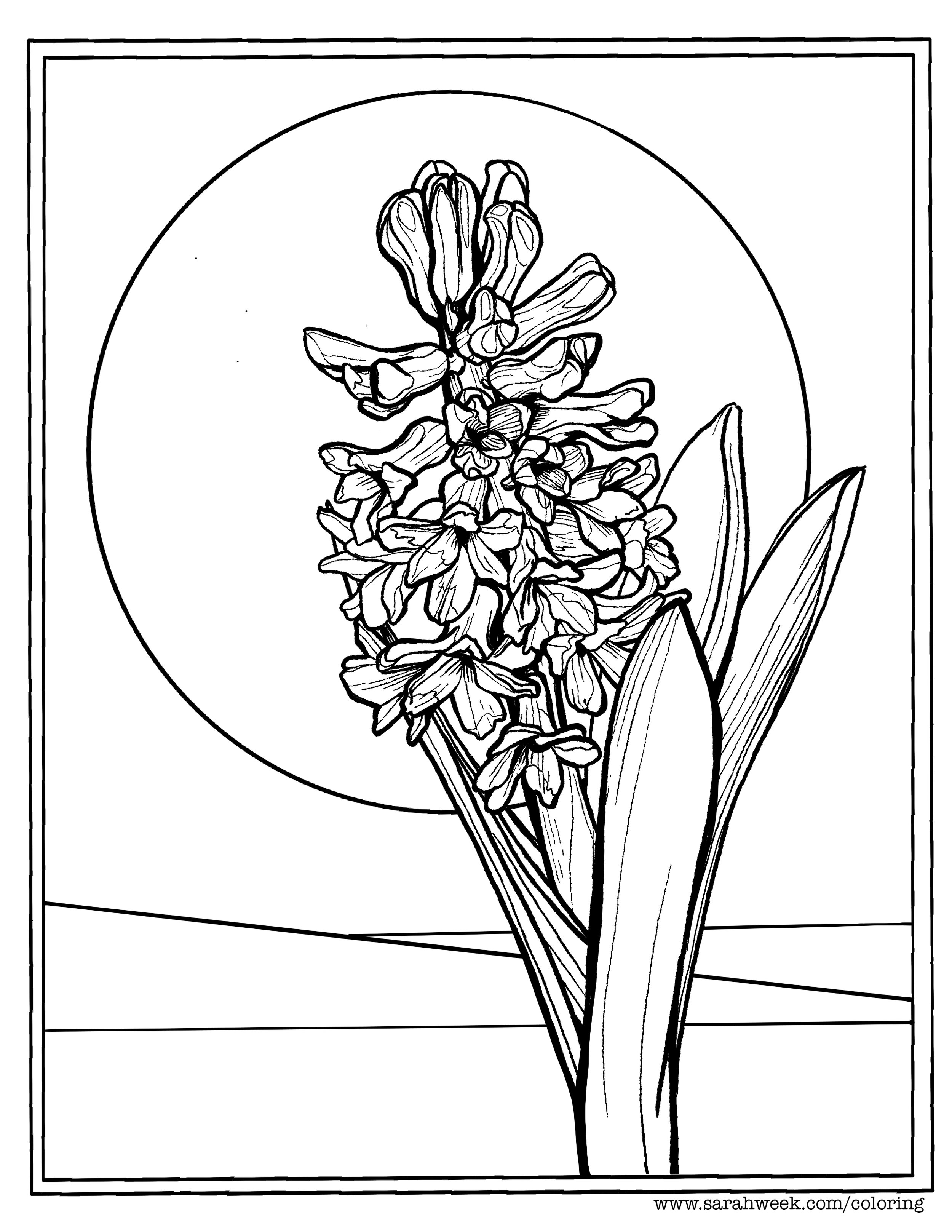 Free coloring pages â sarah week