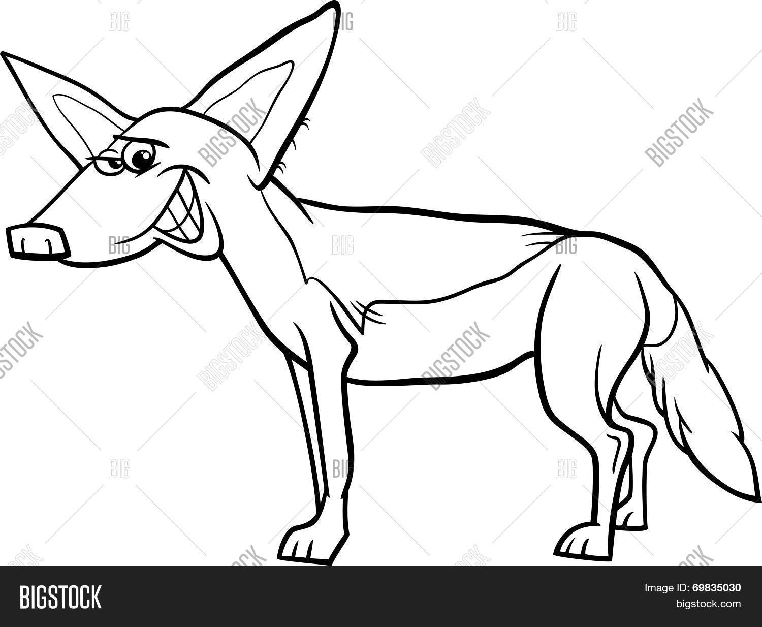 Jackal animal cartoon vector photo free trial bigstock