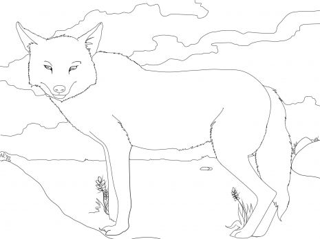 Golden jackal coloring page super coloring animal coloring pages owl coloring pages free printable coloring pages