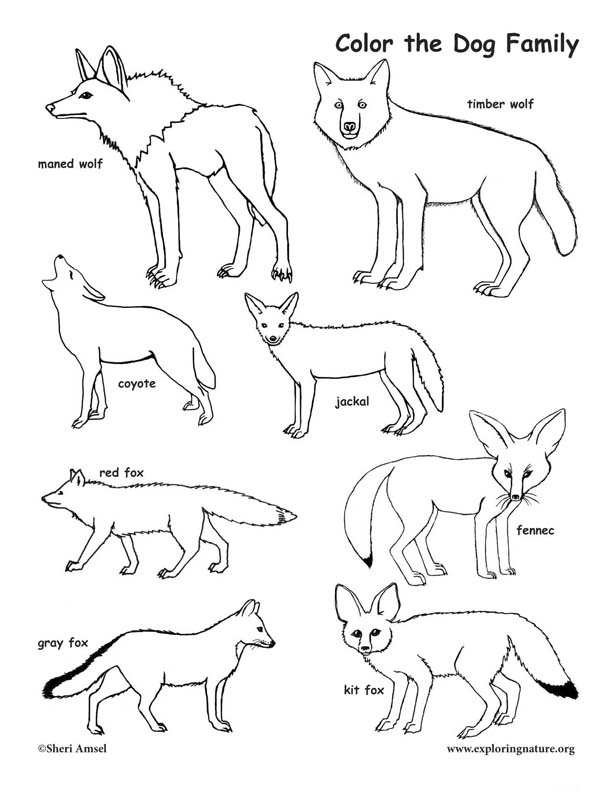 Dog family coloring page