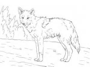 Free coloring pages of a jackal animal coloring pages dog coloring page free printable coloring pages