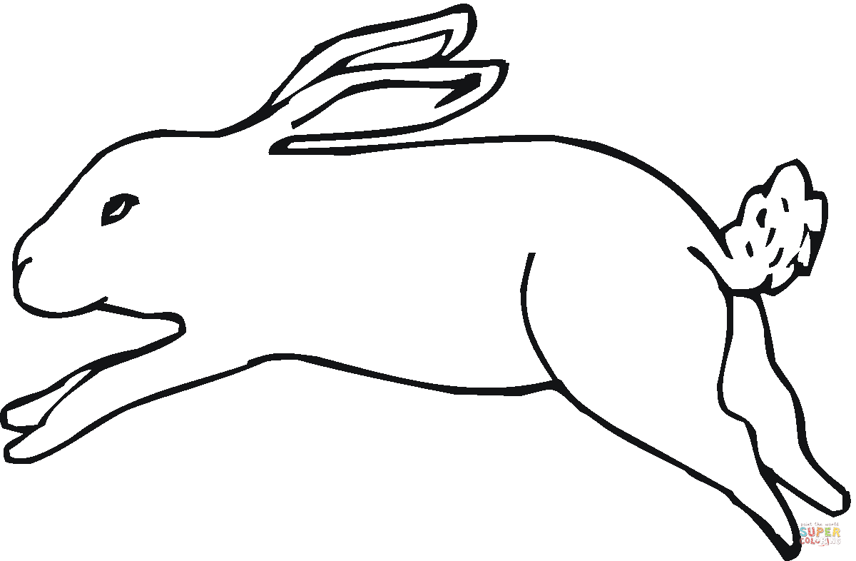 Running jack rabbit coloring page free printable coloring pages